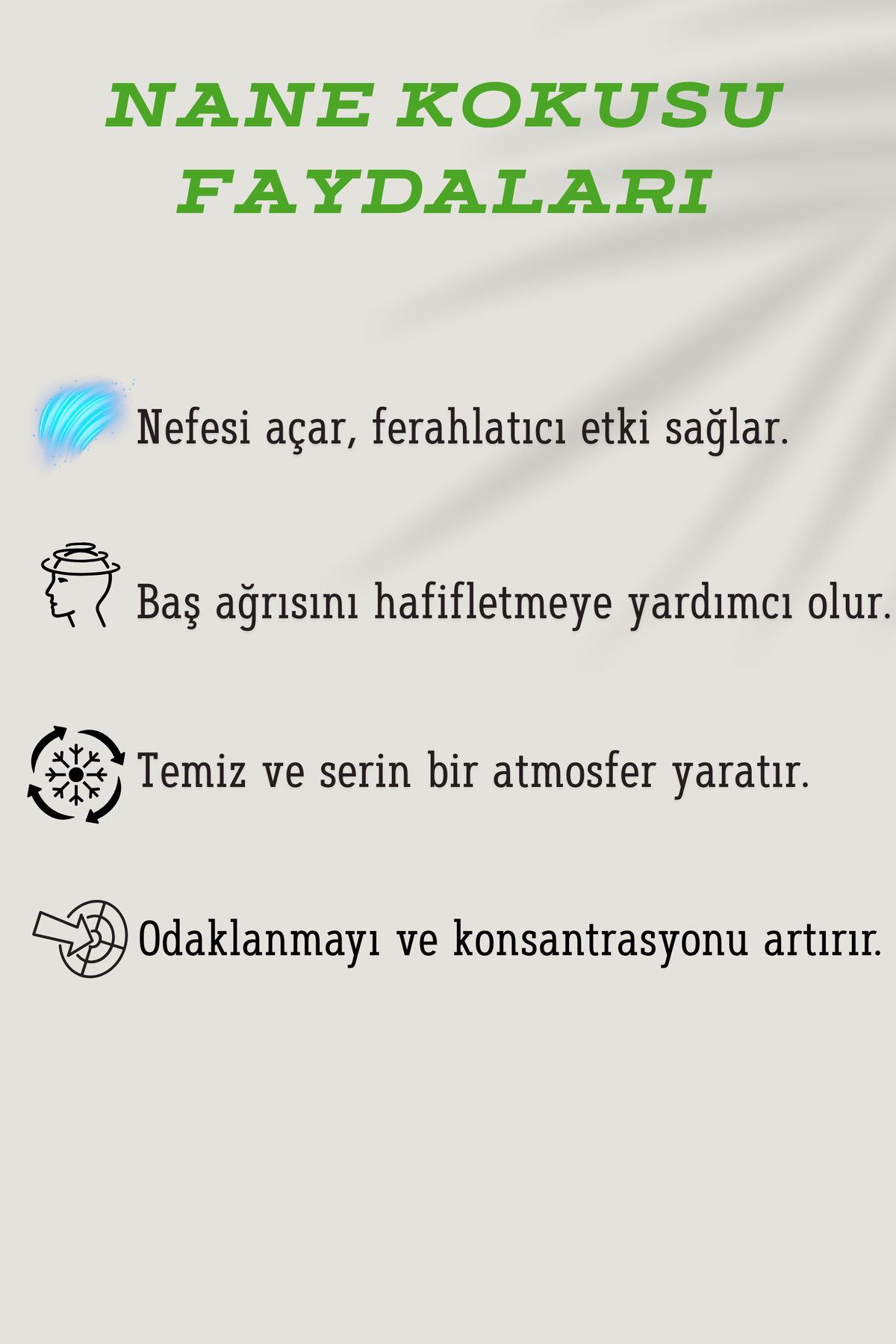 Aromaterapi Serisi - Nane / Qr Kodlu Özel Playlist / Premium Soya-Coconut Wax Karışımı /240ml