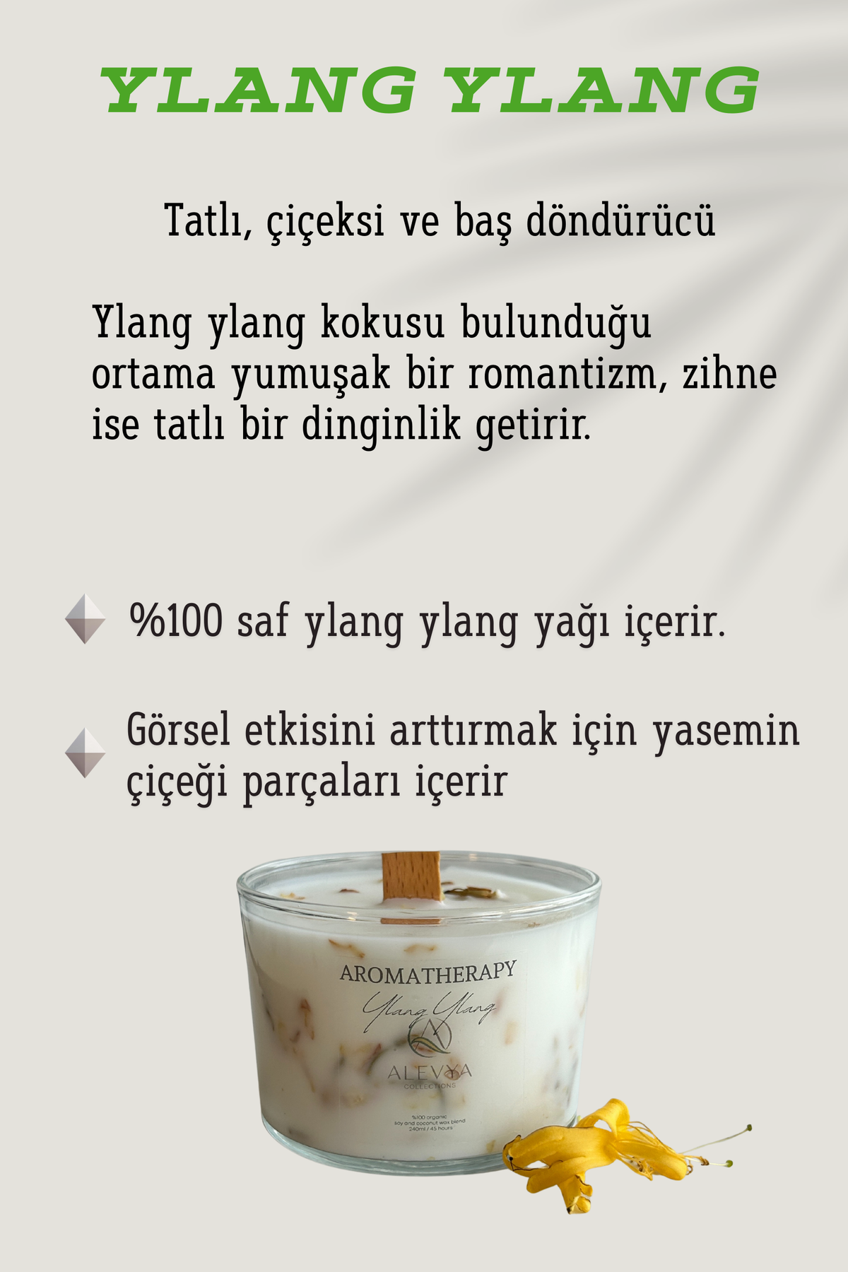 Aromaterapi Serisi – Ylang Ylang / Özel Playlist / Premium Soya-Coconut Wax Karışımı /240ml
